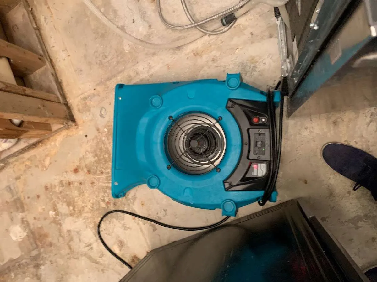 Air mover drying equipment for Mold Remediation & Removal in Norwood